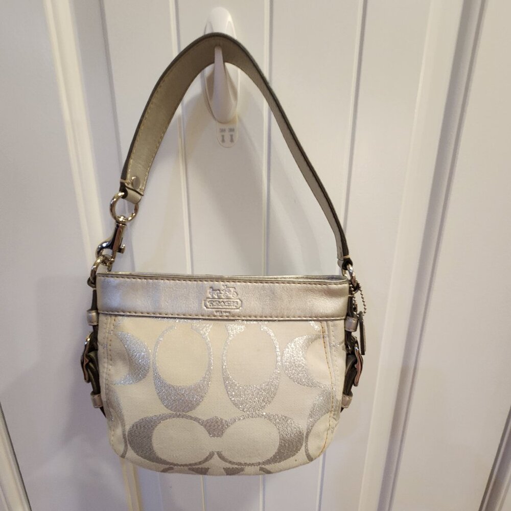 Coach Signature Zoe Silver Handbag